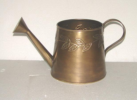 Iron Embosed Water Cane